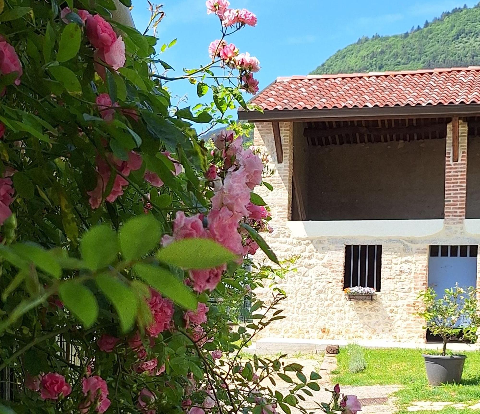 Casa Paola Apartment Borso del Grappa Exterior foto